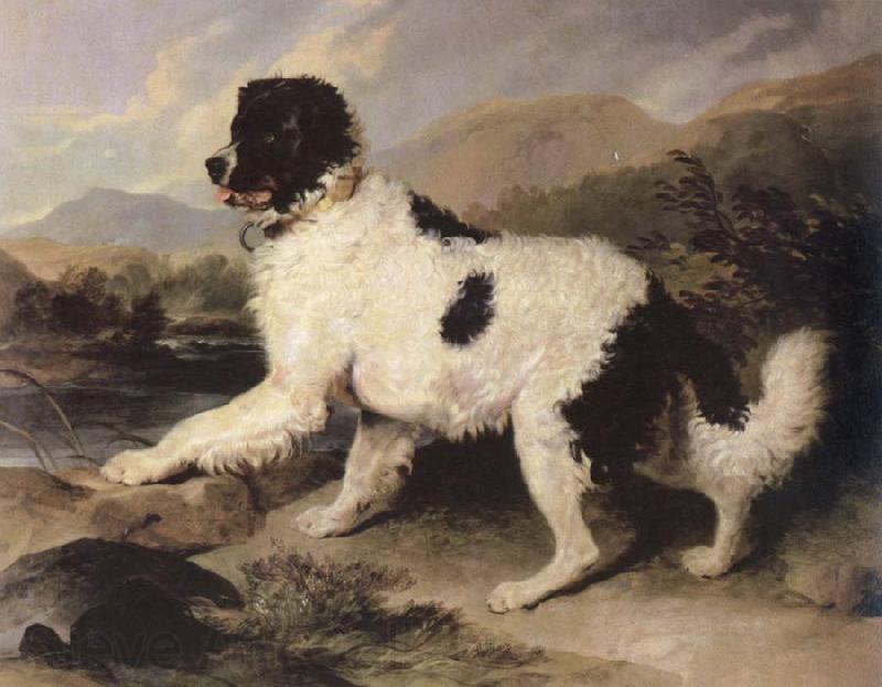 Sir Edwin Landseer lion a newfoundland dog France oil painting art